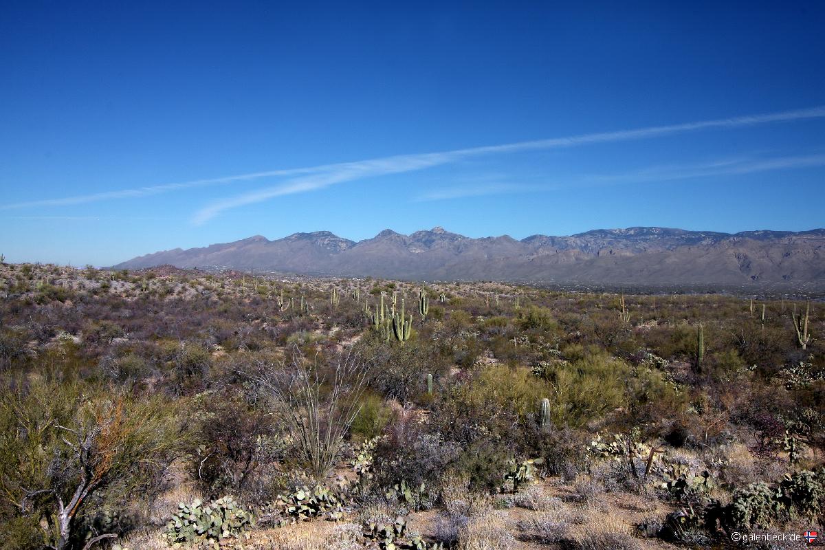 Saguaro National Park Ost