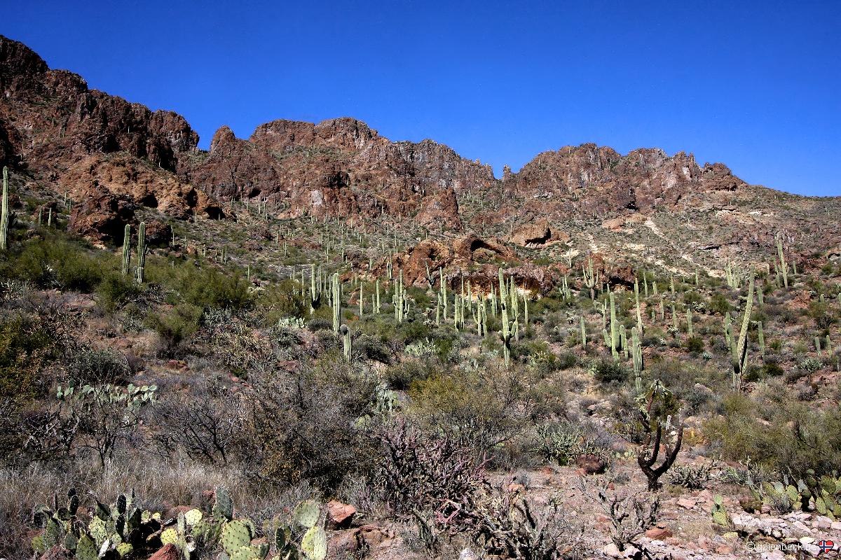 Hewitt Canyon
