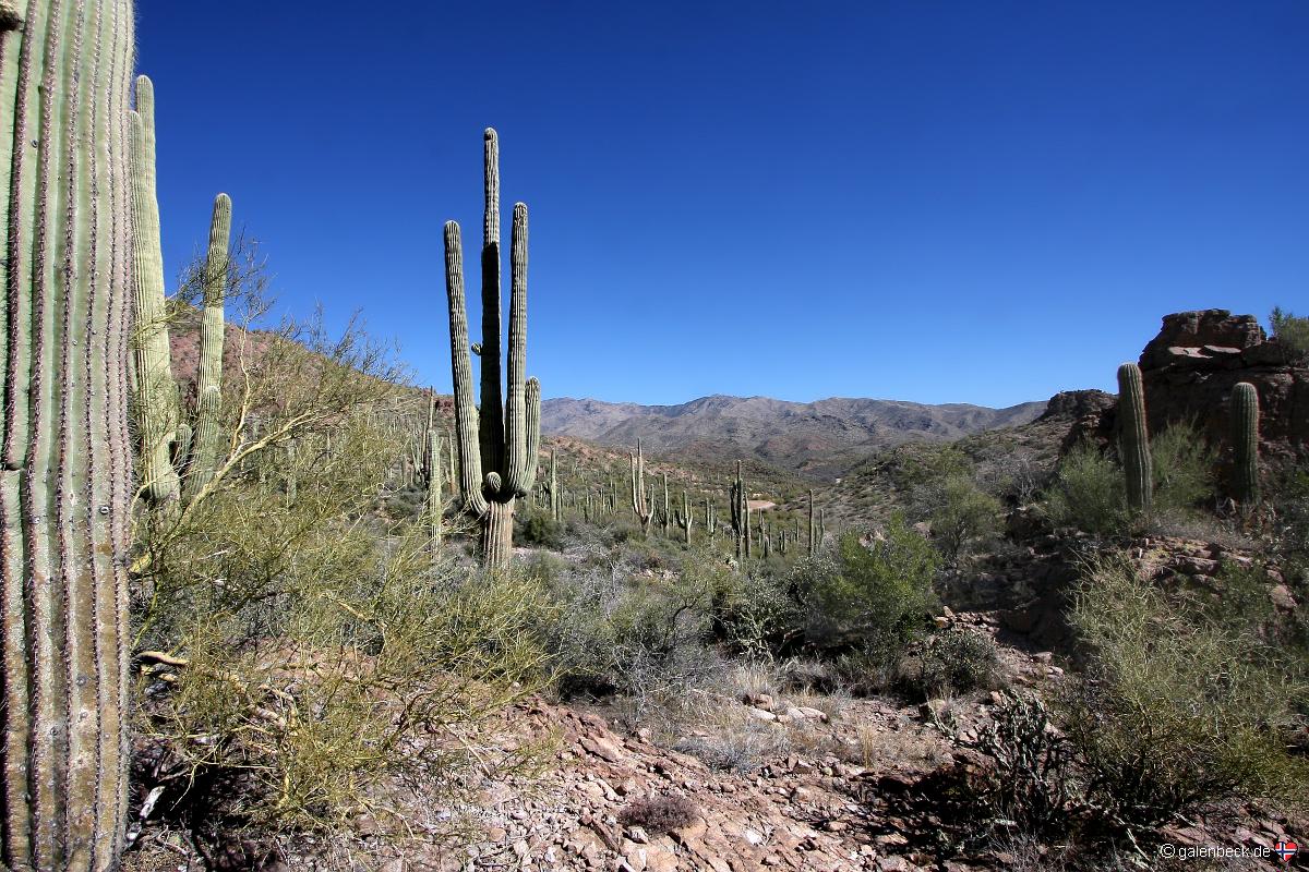 Hewitt Canyon