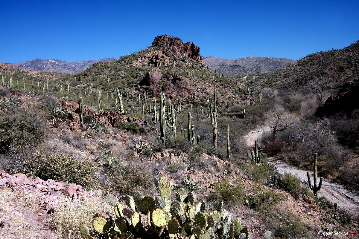 Hewitt Canyon