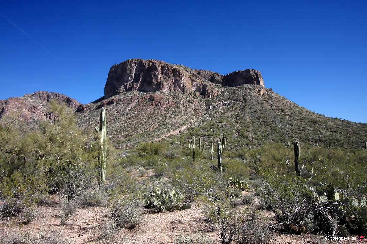Hewitt Canyon
