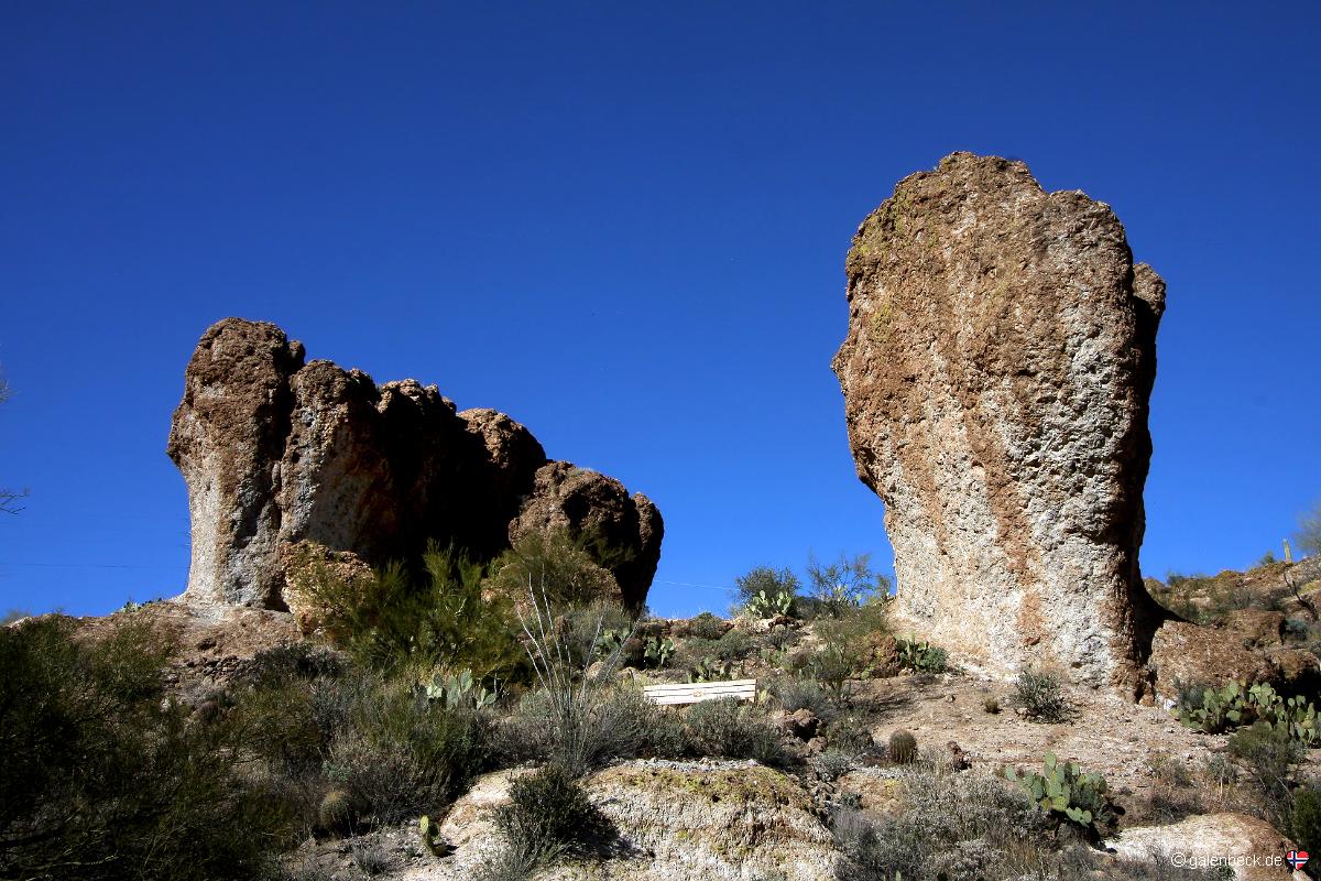 Boyce Thompson Arboretum State Park