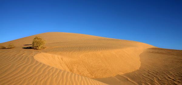 Imperial Sand Dunes Recreation Area
