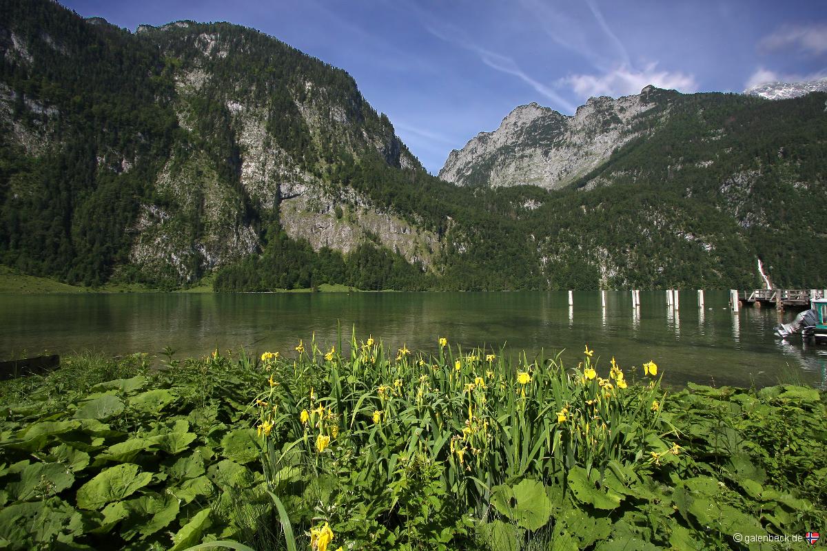 Königssee