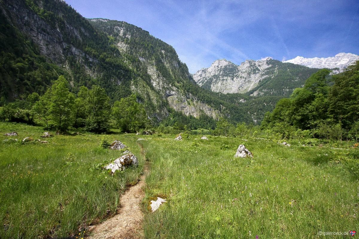Obersee