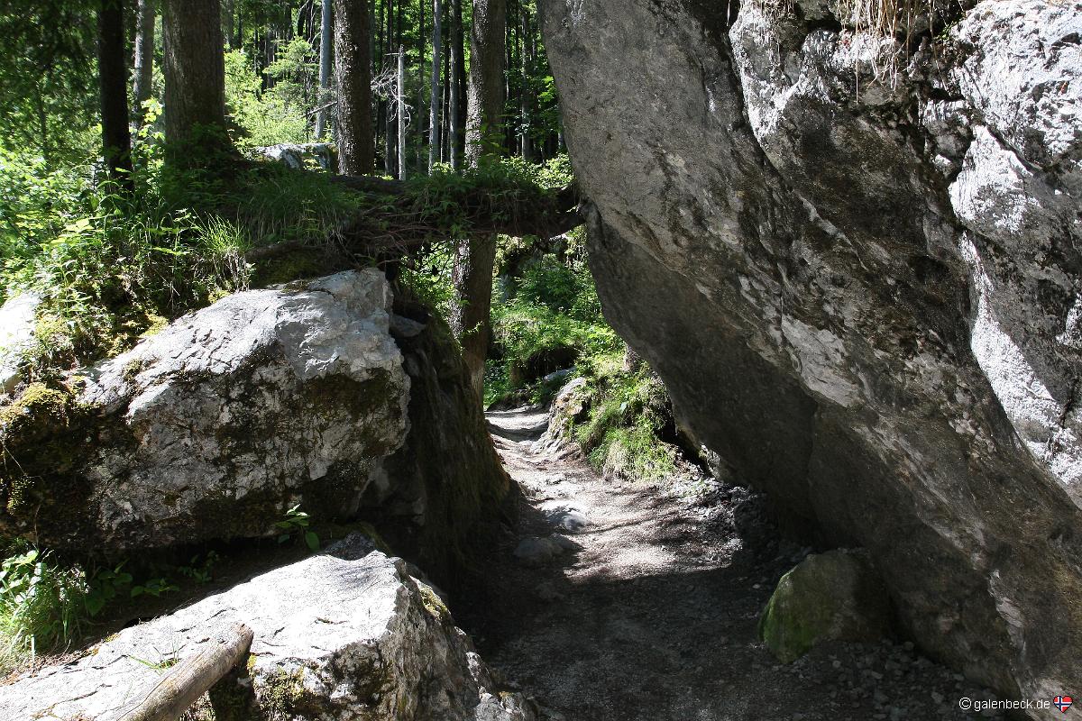 Zauberwald