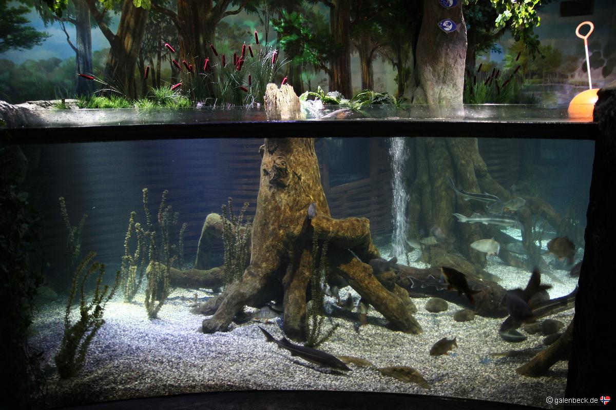Sea Life München