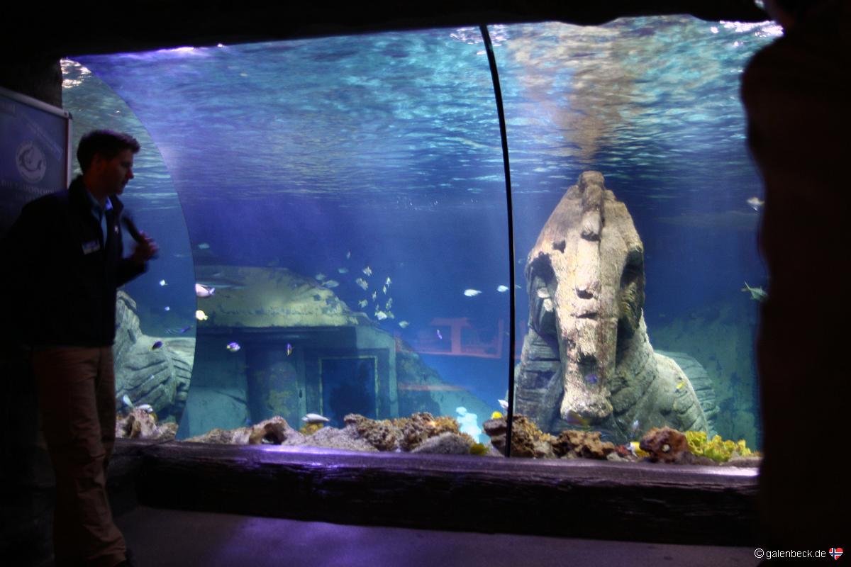 Sea Life München