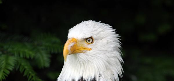 58