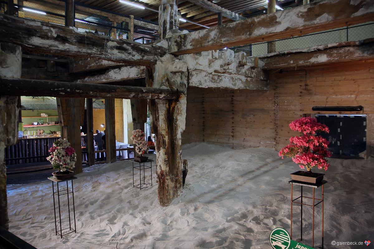 Bonsai Ausstellung Hallein