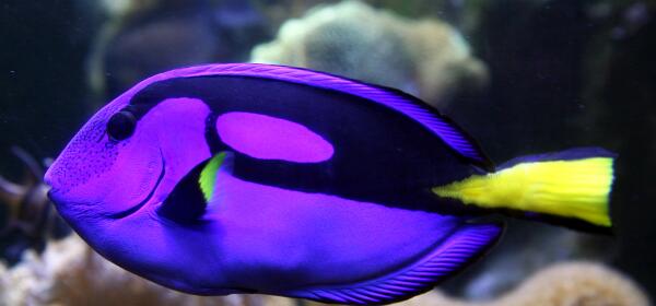 Sea Life München