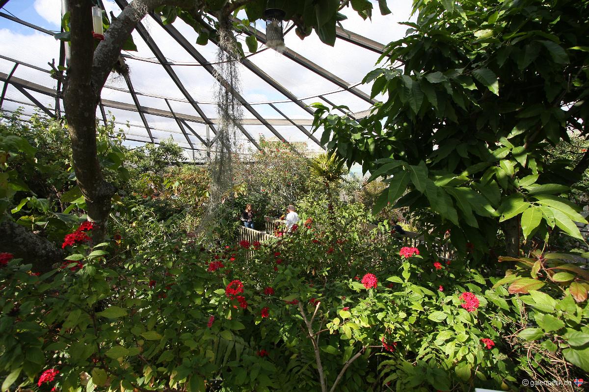 Butterfly World Florida