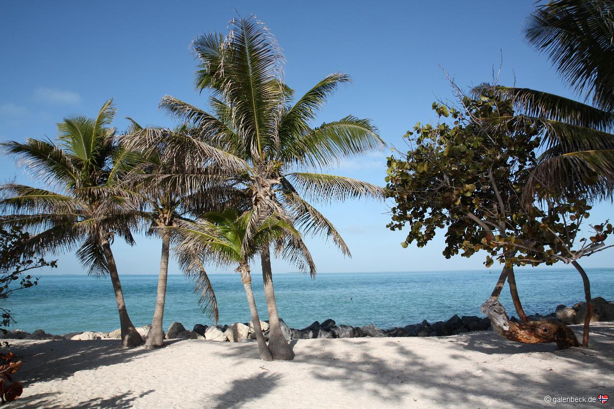 Fort Zachary Taylor
