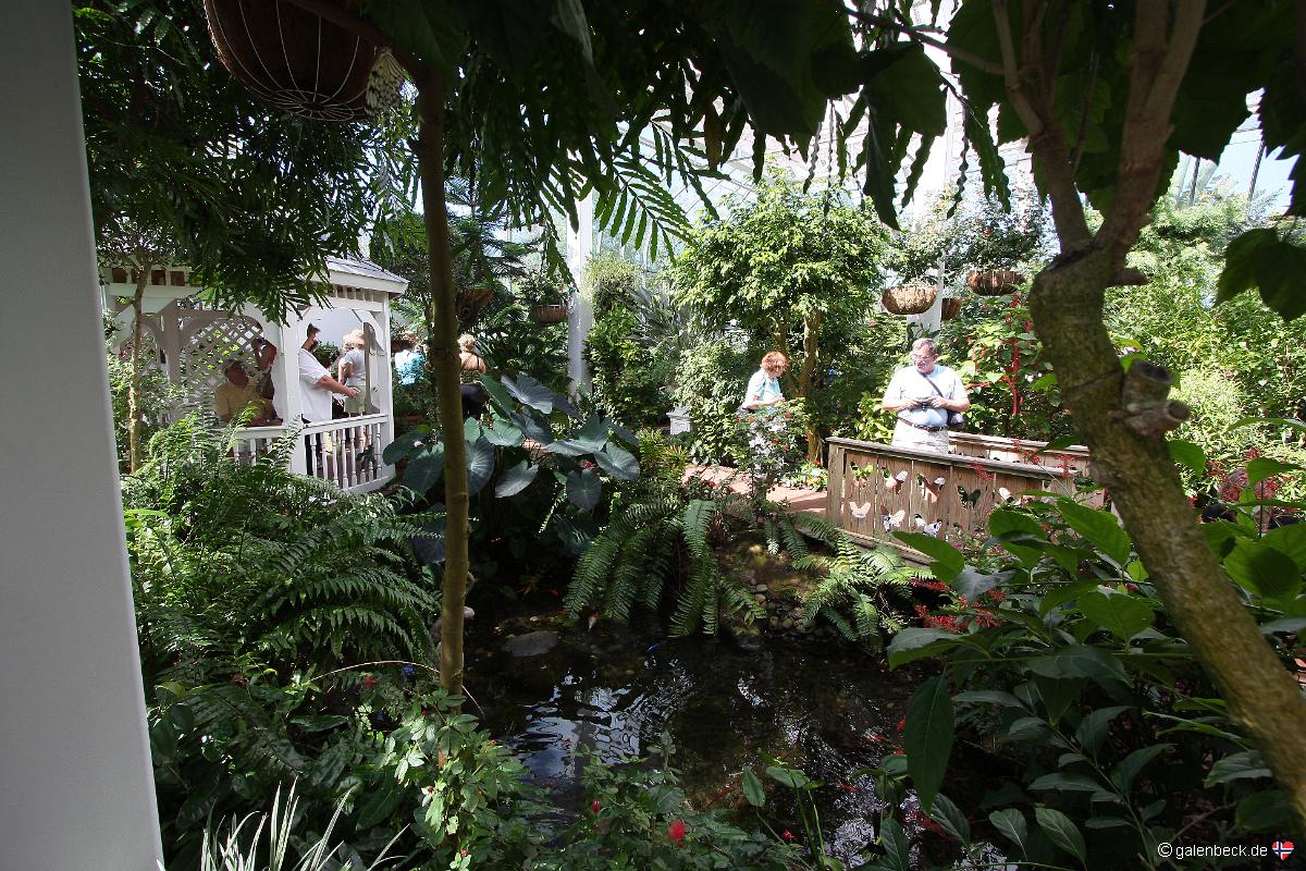 Butterfly Conservatory