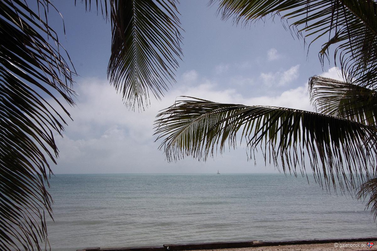 Key West Garden Club