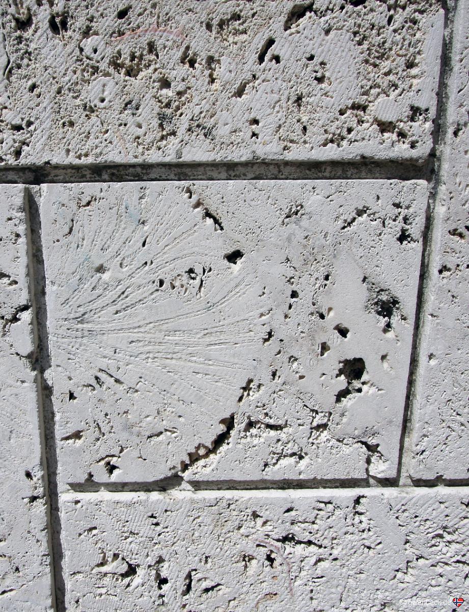 Windley Key Fossil Reef State Park