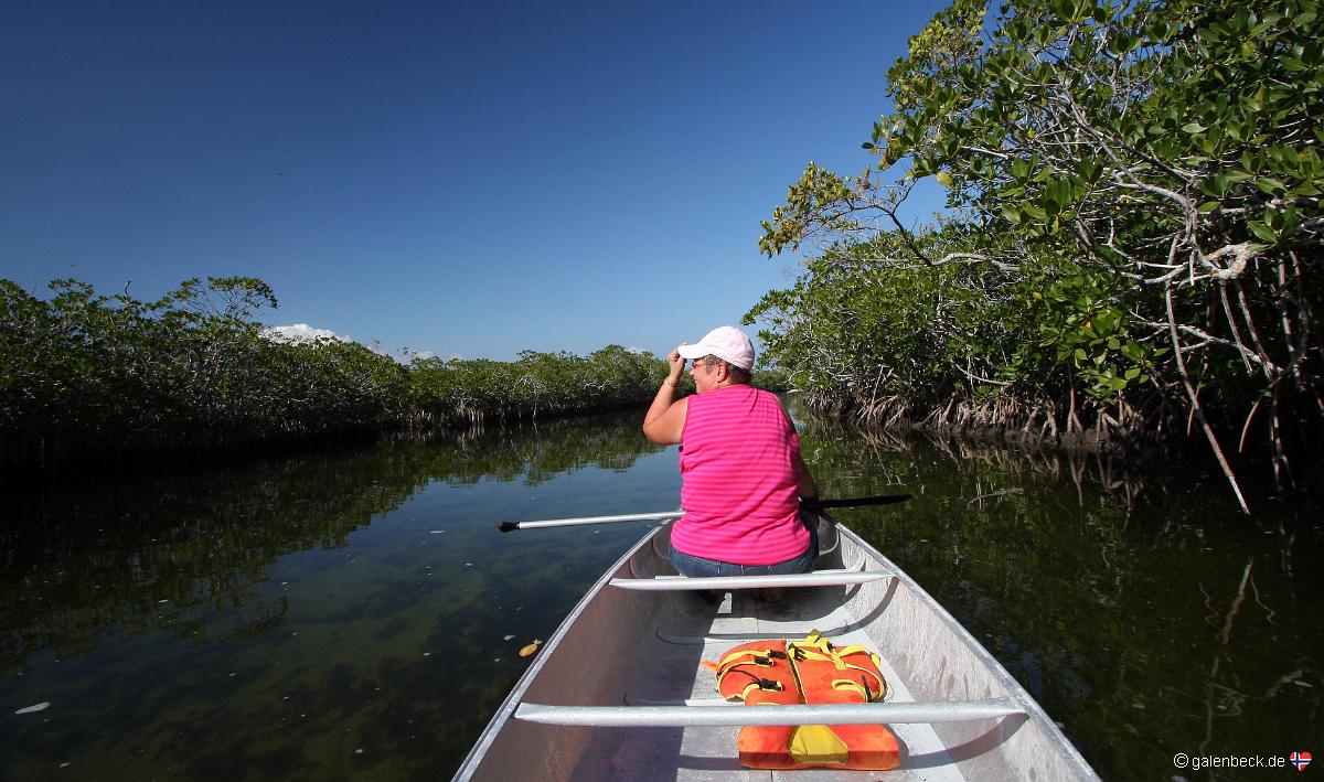 John Pennekamp Coral Reef State Park