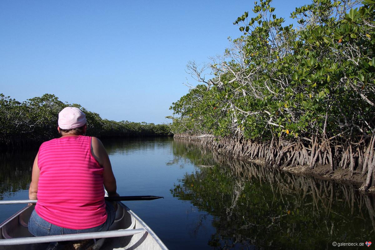 John Pennekamp Coral Reef State Park