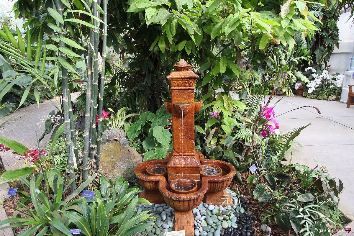 Botanical Garden