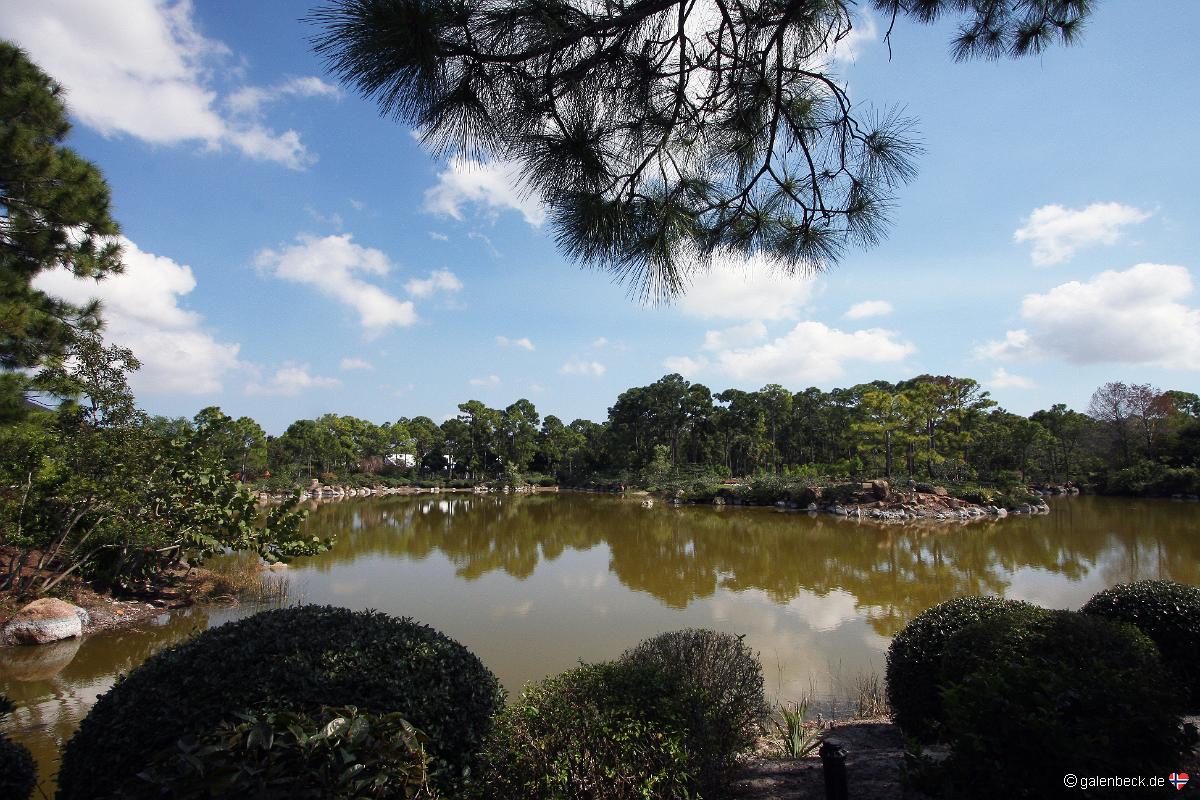 Japanese Garden