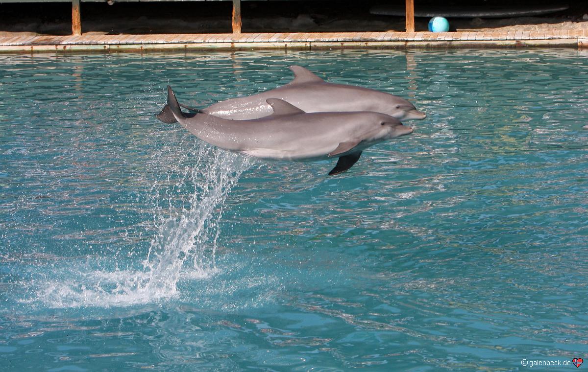Miami Sea Aquarium