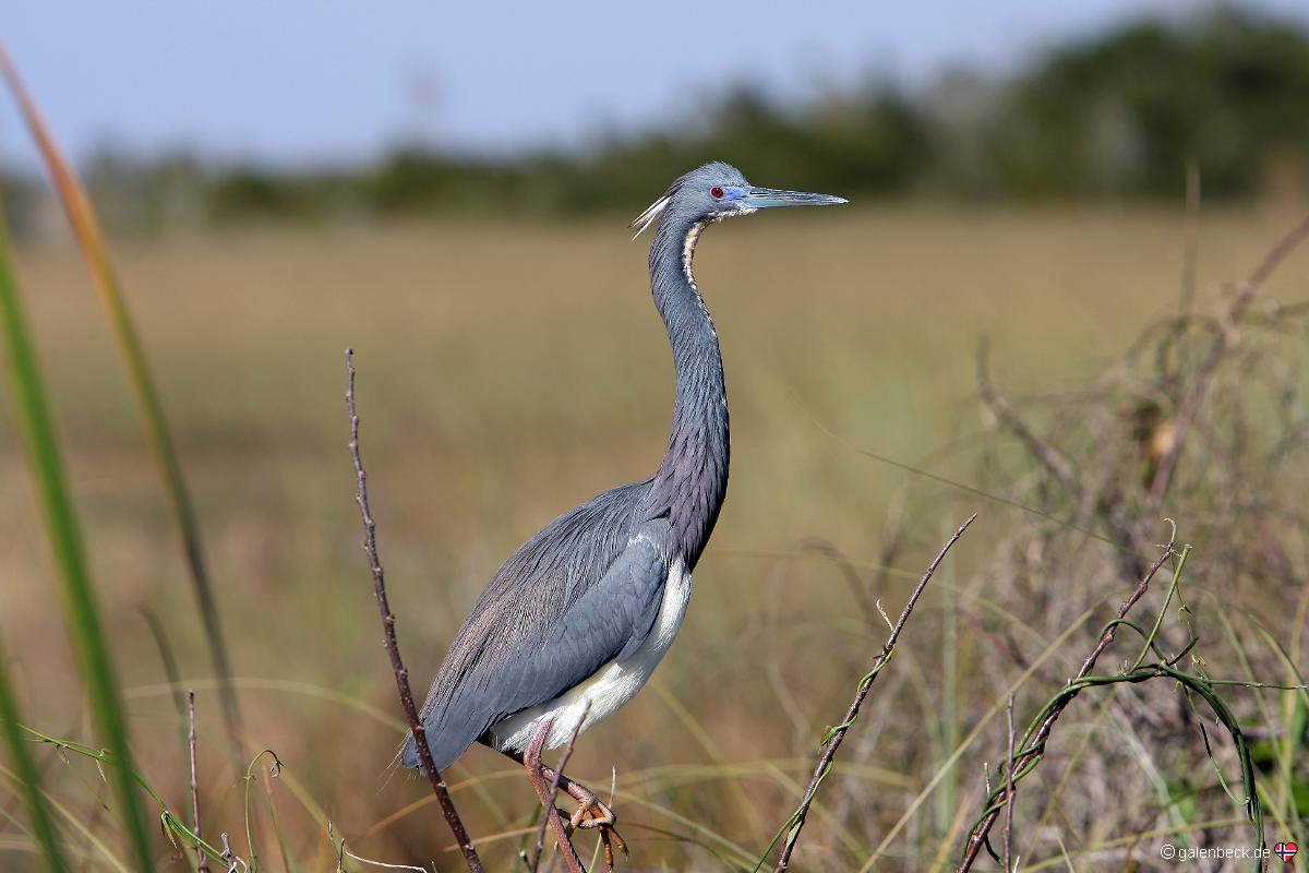 Everglades National Park
