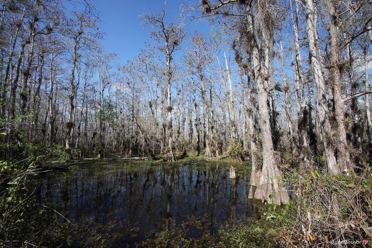 Big Cypress National Preserve