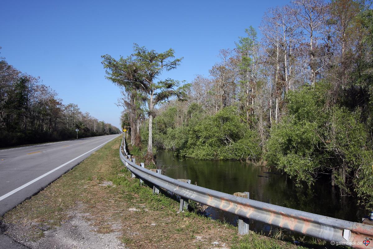 Tamiami Trail