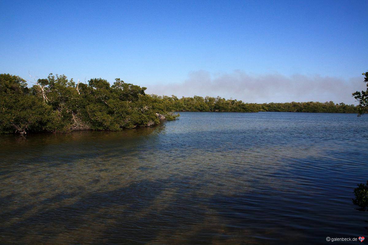 J. N. Ding Darling National Wildlife Refuge
