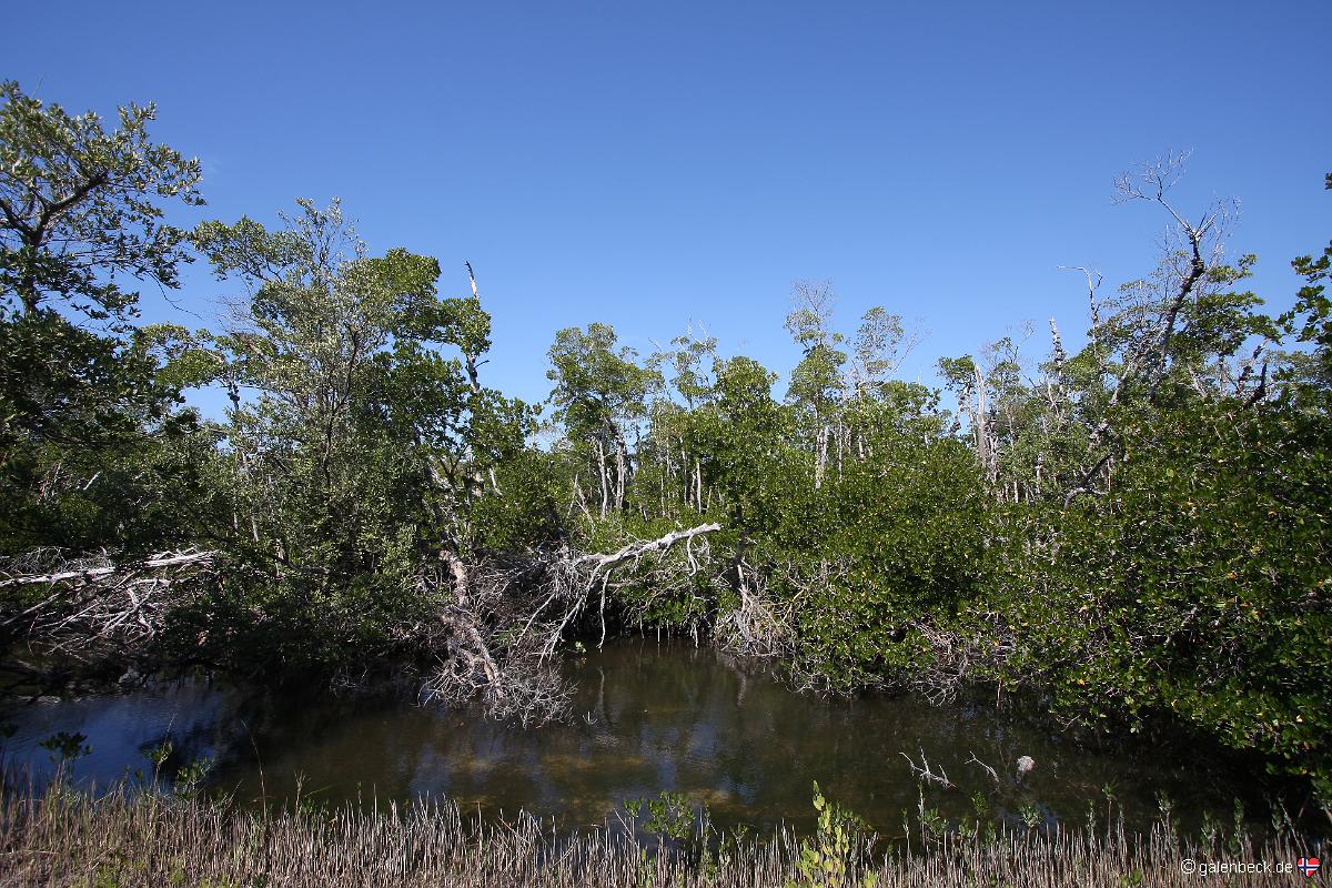 J. N. Ding Darling National Wildlife Refuge
