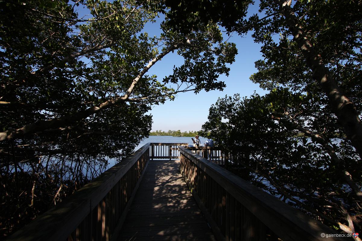 Ding Darling National Wildlife Refuge