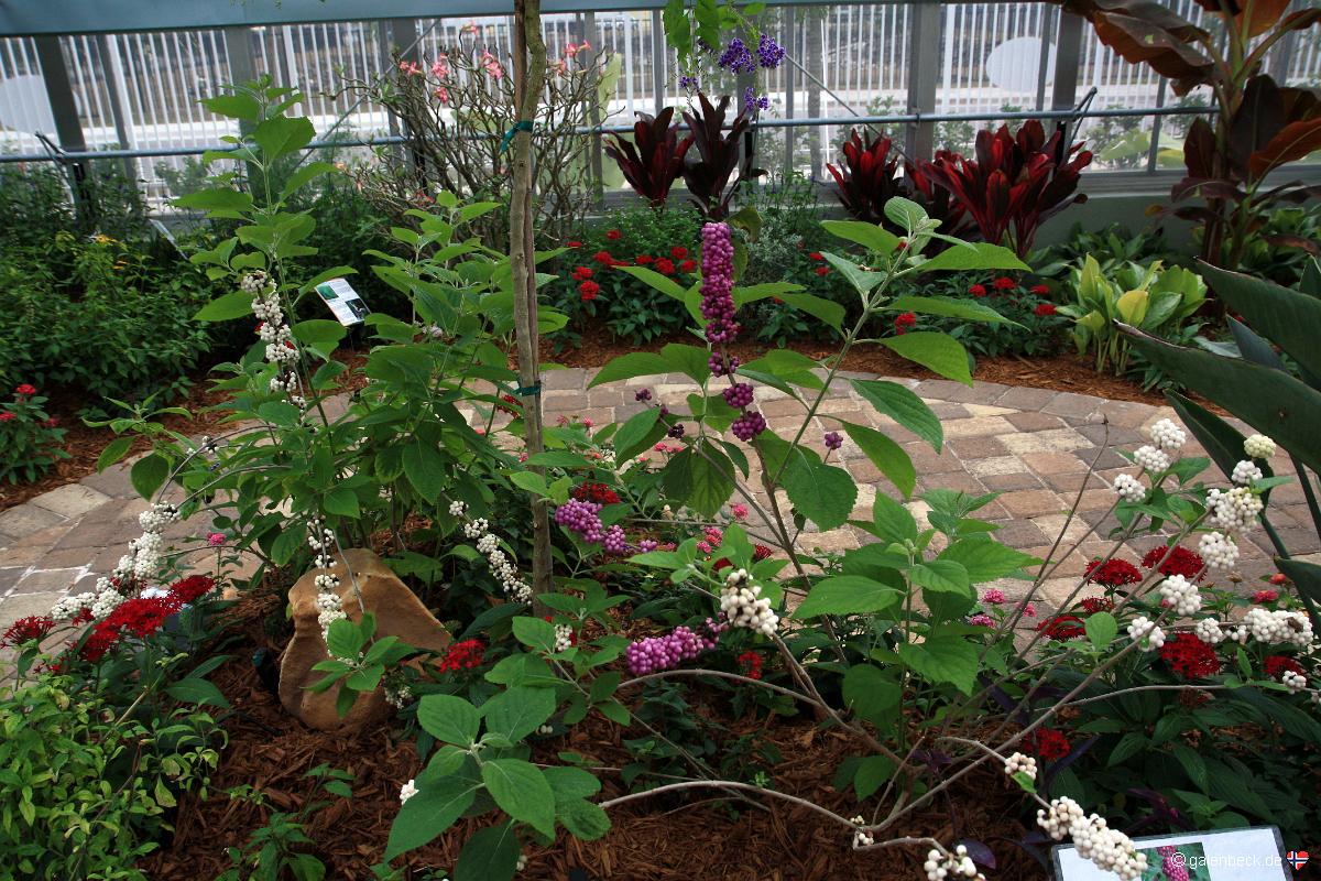 Butterfly Estates Fort Myers