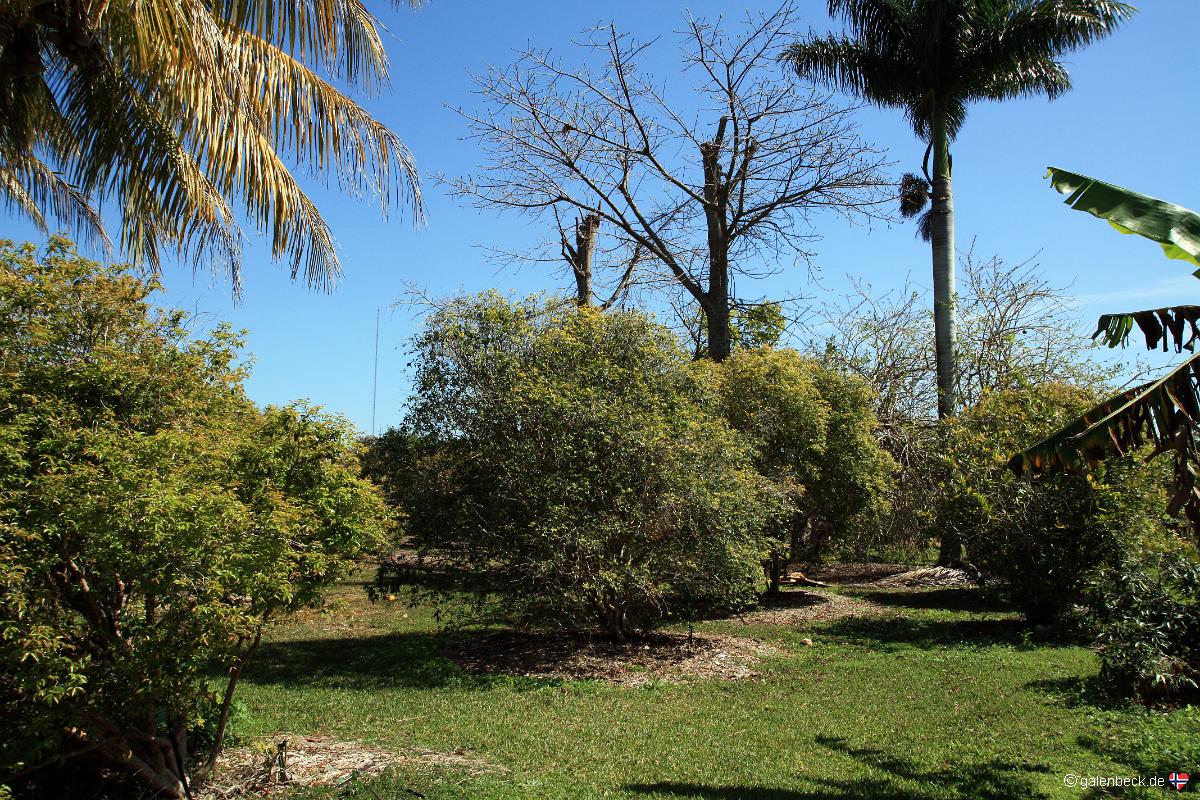 Fruit and Spice Park Florida City