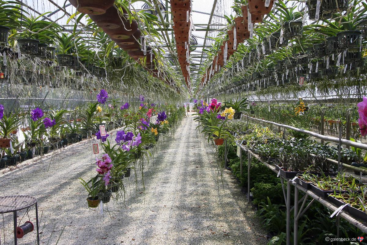 R F Orchids Florida City