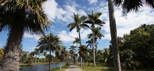 Fairchild Tropical Botanic Garden