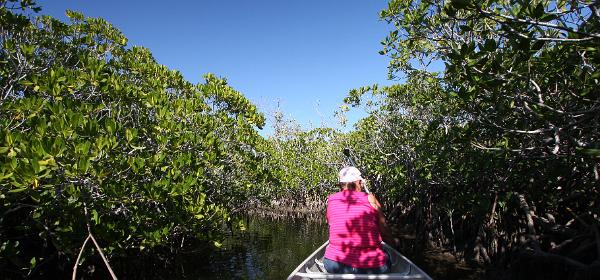 John Pennekamp Coral Reef State Park