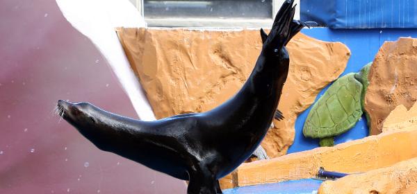 Miami Seaquarium