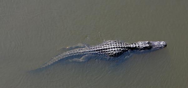 Everglades National Park