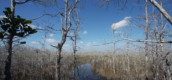 Big Cypress National Preserve