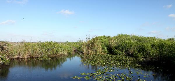 Ingraham Hwy, Homestead, Florida, United States