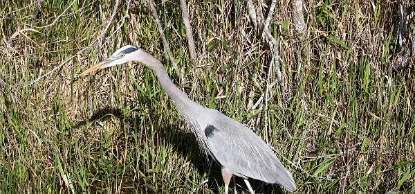 Ingraham Hwy, Homestead, Florida, United States