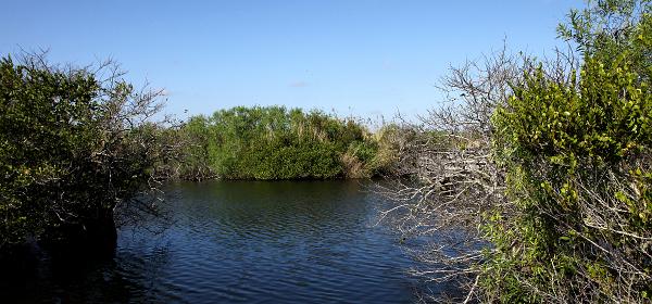 Ingraham Hwy, Homestead, Florida, United States