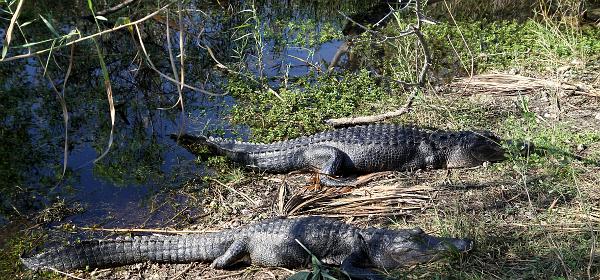 Ingraham Hwy, Homestead, Florida, United States