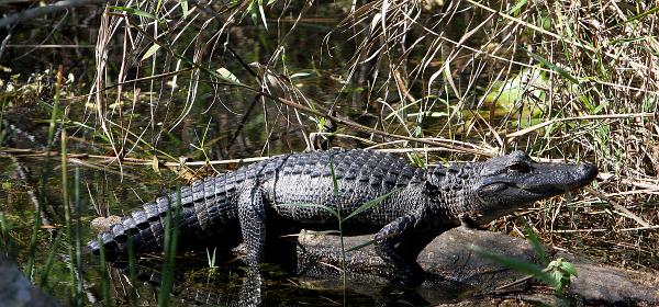 Ingraham Hwy, Homestead, Florida, United States