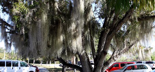 Ingraham Hwy, Homestead, Florida, United States