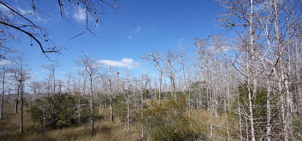 Tamiami Trl, Trailtown, Florida, United States