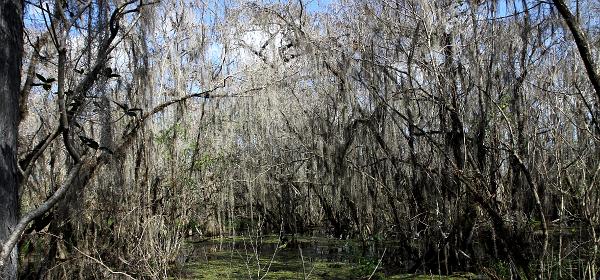 Tamiami Trl, Trailtown, Florida, United States