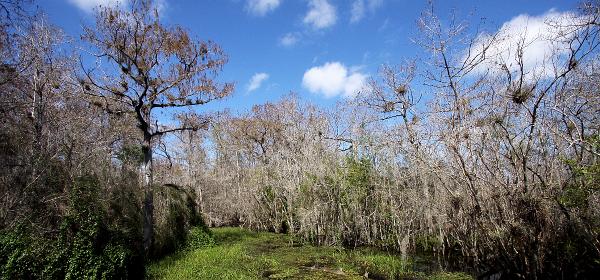 Tamiami Trl, Trailtown, Florida, United States