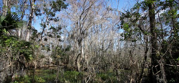 Tamiami Trl, Trailtown, Florida, United States