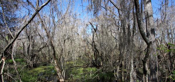 Tamiami Trl, Trailtown, Florida, United States